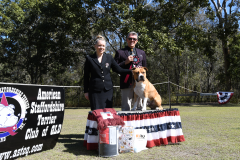 RESERVE DOG CHALLENGE - GRAND CH. IRONKLAD PRETTY BOY FLOYD